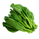 Summer Harvest Chinese Broccoli (Kailan) (Malaysia) 250g