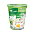 Knorr Cup Porridge Chicken and Mushroom 35g