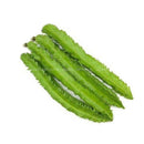 Four Angle Bean (Kacang Botol) 150g