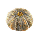 Sweet Pumpkin (Labu Manis) (MYS) 1kg
