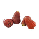 Rose Apple (Jambu Air) 600g
