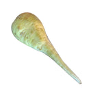 Parsnip Composite 500g