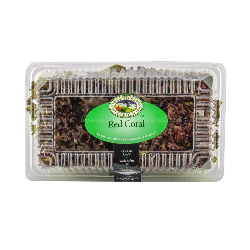 Red Coral Lettuce (Lollo Rosso) 170g