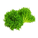 Genting Garden Curly Crisp Lettuce 180g