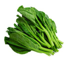 Chinese Broccoli (Kailan) 250g