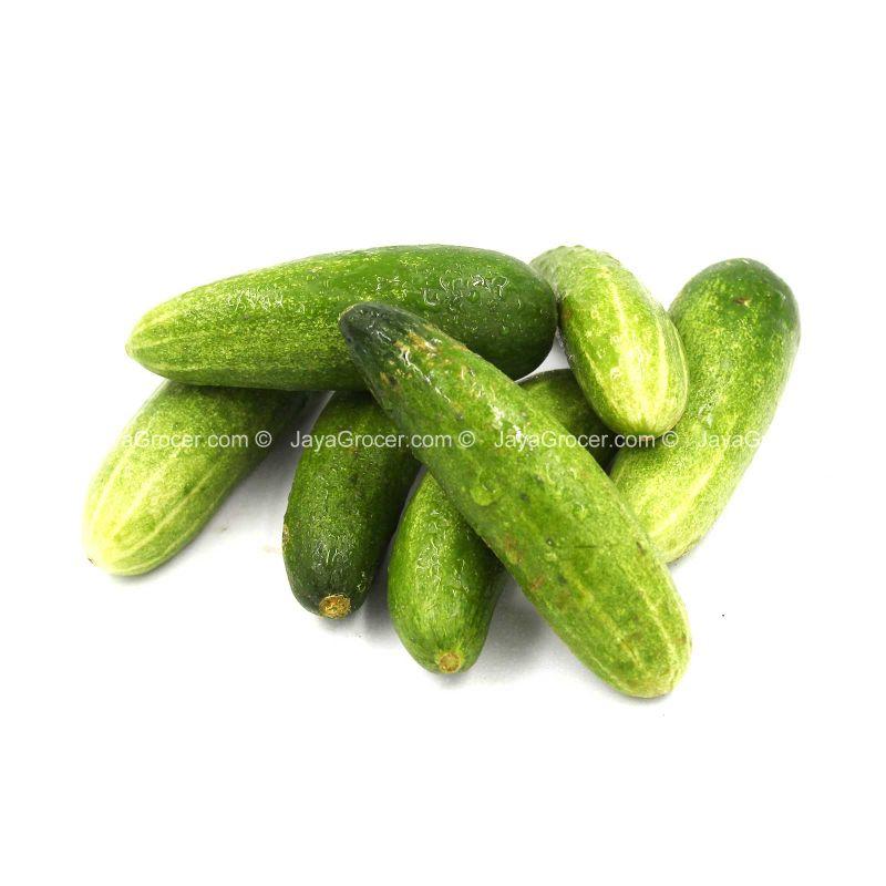 Baby Cucumber 500g