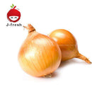 JMG Yellow Onion (Tamanegi) (JPN) 1kg