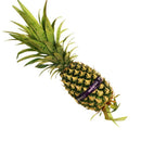 Sarawak Pineapple (MYS) 1pc