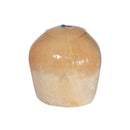 Fragrant Coconut 1pc