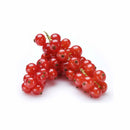 Red Currant C12 (NLD) 125g