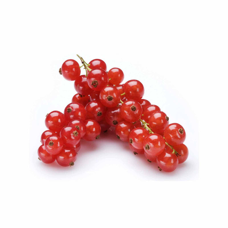 Red Currant C12 (NLD) 125g