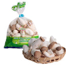 Korea Mini King Oyster Mushroom (KOR) 300g