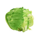 Genting Garden Iceberg Lettuce 100g