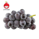 JMG Kyoho Grape (JPN) 300g