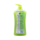Dettol Lasting Fresh Anti-Bacterial pH-Balanced Body 950ml