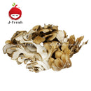 JMG Maitake Mushroom (JPN) 1pack