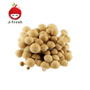 JMG Shimeji Mushroom (JPN) 1pack