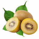 Zespri Sungold Kiwi 4's (ITA) 1pack