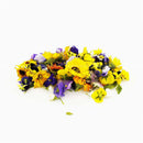 Genting Garden Mixed Edible Flowers 25g