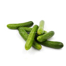 Baby Cocktail Cucumber 500g