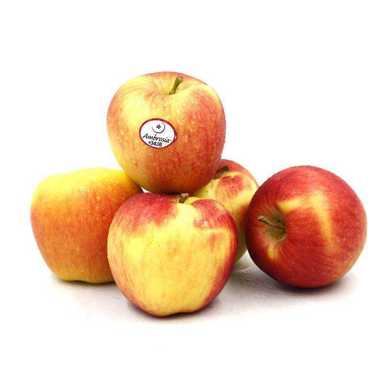 Ambrosia Apple (ITA) 1pack