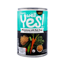 Campbell’s Well Yes! Minestrone with Kale Soup 458g