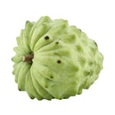 Custard Apple C8/9 (TWN) 1pc