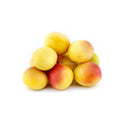Sugar Apricot C16 (TUR) 350g