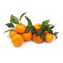 Mini Tangerine 1kg
