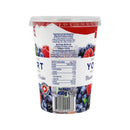Emmi Blueberry  Fruit Forest Premium Yogurt 450g