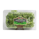 Green Curly Kale 200g