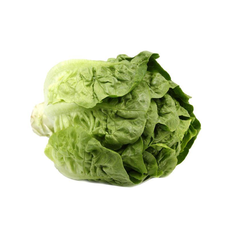 Baby Romaine Lettuce 280g
