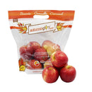 Autumn Glory Apple (USA) C10 1 pack