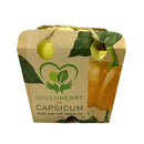 Greenheart Yellow Capsicum (MYS) P30 1unit